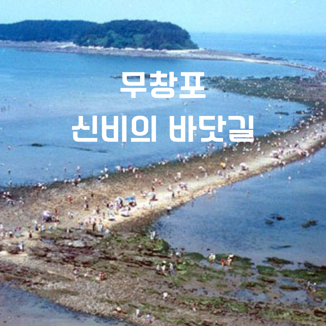 무창포-신비의-바닷길