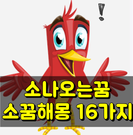  알고보니 헉 ! 소꿈해몽 16가지 신기해