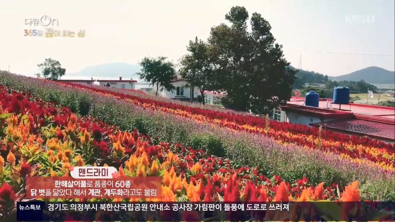 다큐 On.E201.230610p.H264-F1RST.mp4_20230611_164726.454.jpg