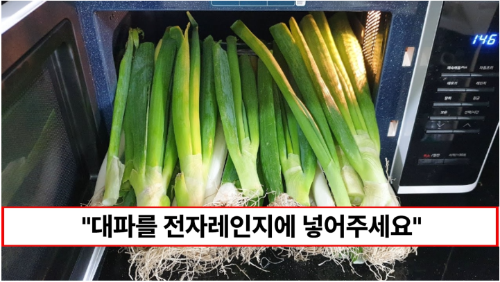 “대파 하나만 있으면 요리가 완성됩니다” 전자레인지를 활용한 대파 레시피 2가지