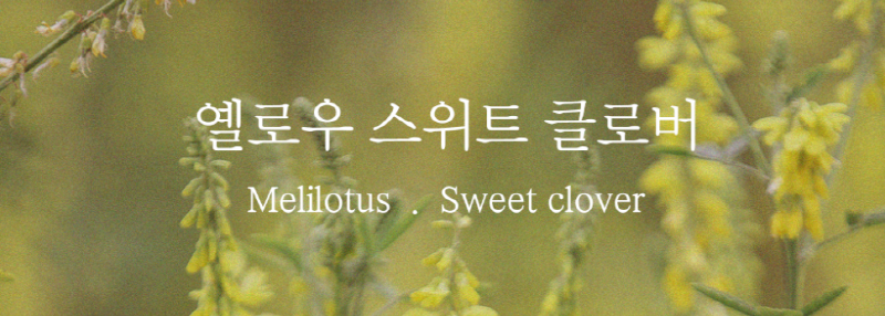 중요성분