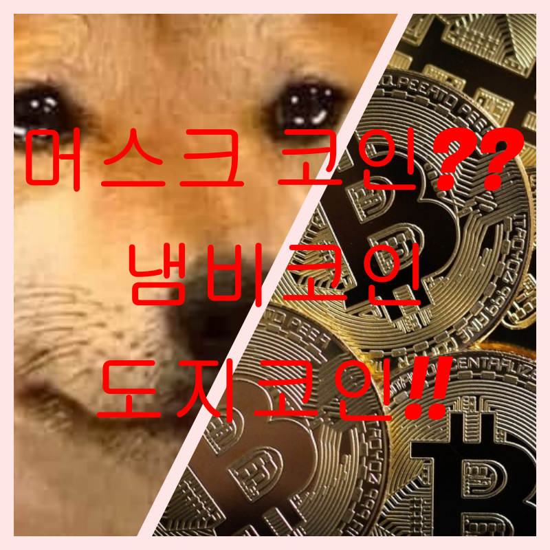  만우절 코인?? 도지코인!