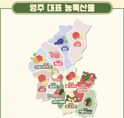 영주 대표 농특산물