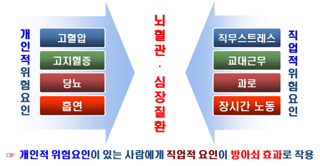  뇌심혈관계질환 증상과 원인, 관리와 예방 방법은?
