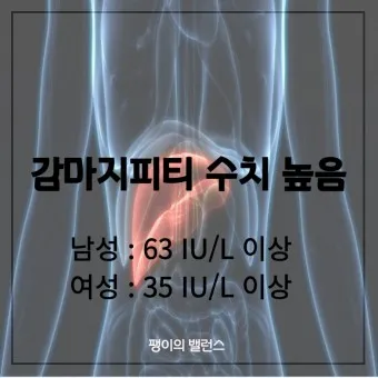 감마지피티 높으면 수치 정상화_38