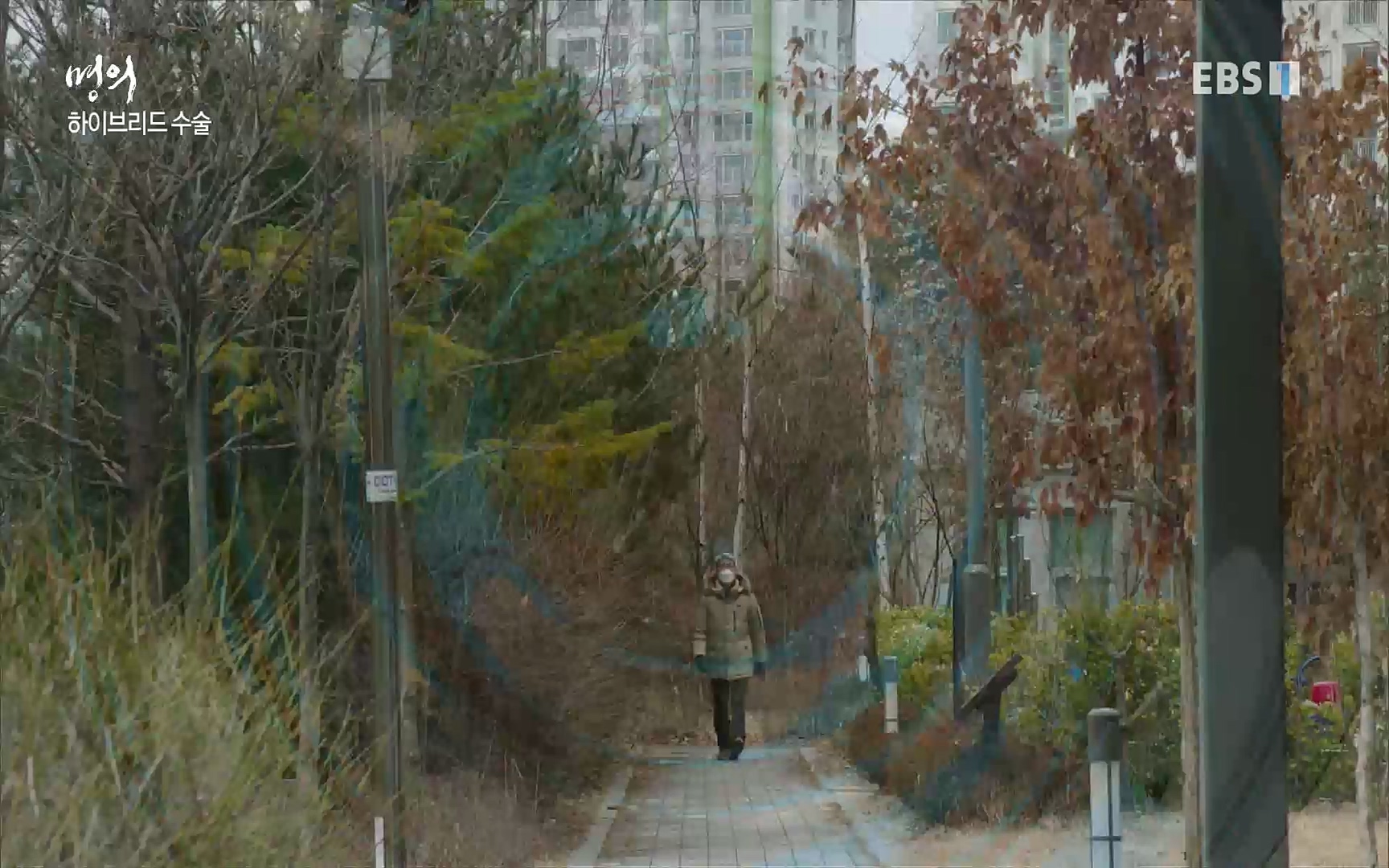 EBS 명의 헬스케어 - TV - 교육의 중심 EBS명의 15년, 위암 치료 이렇게 달라졌다!.mp4_20220809_203711.273.jpg