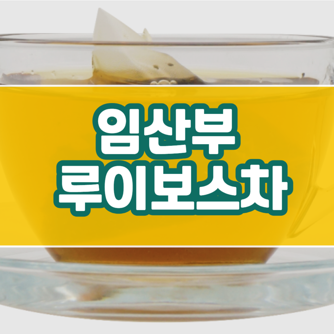 임산부 루이보스티 차, 효능, 섭취량 : 카페인 걱정없이