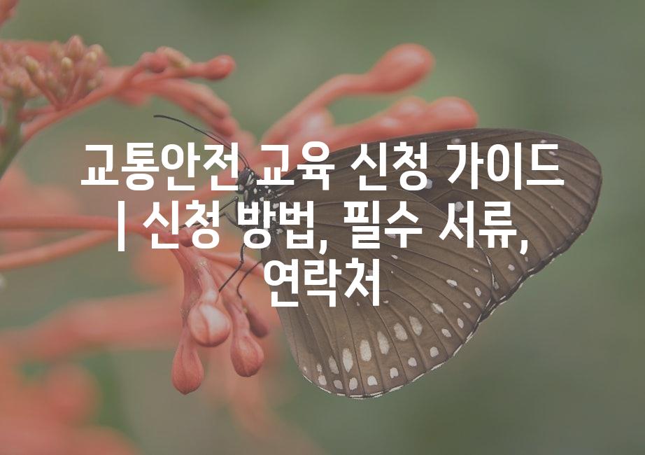 샘플 (51)
