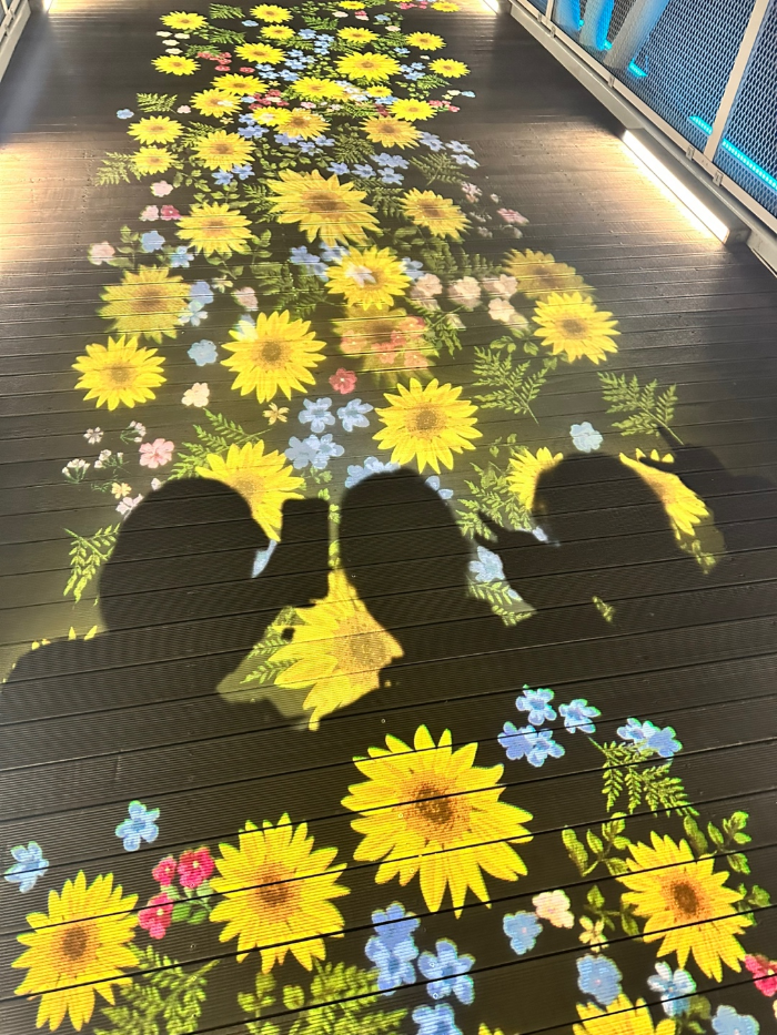 ๊ฝ๊ธธ ์กฐ๋ช
์์ ๋๋ฆฌ์ด ์ธ ์ฌ๋์ ๊ทธ๋ฆผ์
K-Three silhouettes cast over the flower light path on the bridge