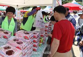 제14회 장기 산딸기랑 농수산물 문화축제 기본일정과 프로그램 정리