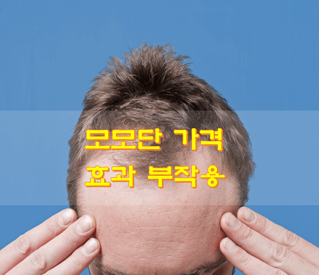  모모단 가격 효과 부작용