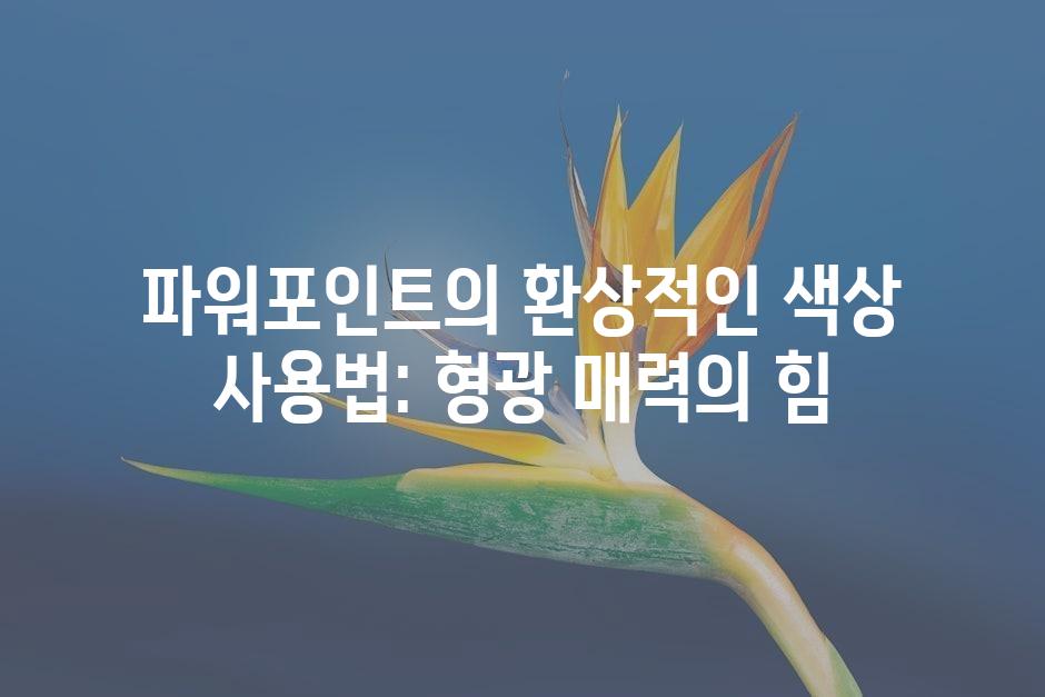 샘플 (45)