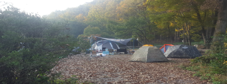 덤바위 이미지