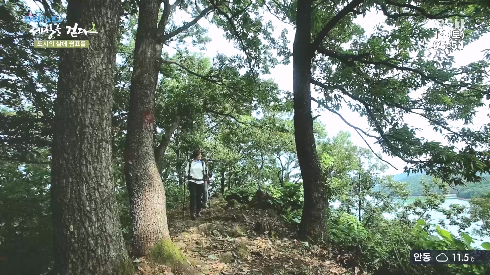 트레킹노트 세상을 걷다.E290.231014p.H264-F1RST.mp4_20231014_181206.505.jpg