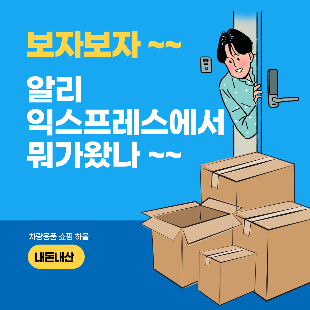  안전민감증 차주의 알리익스프레스 차량용품 하울