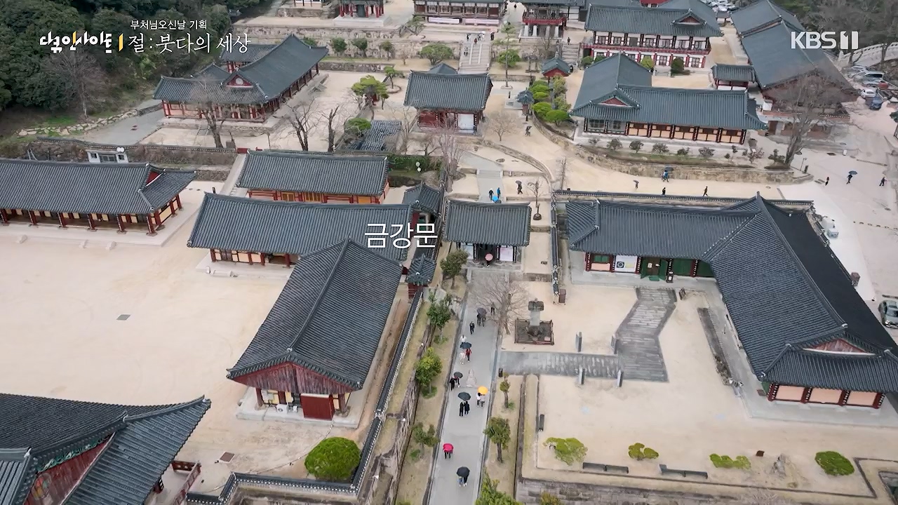 다큐 인사이트.E185.240517p-NEXT.mp4_20240517_202637.803.jpg