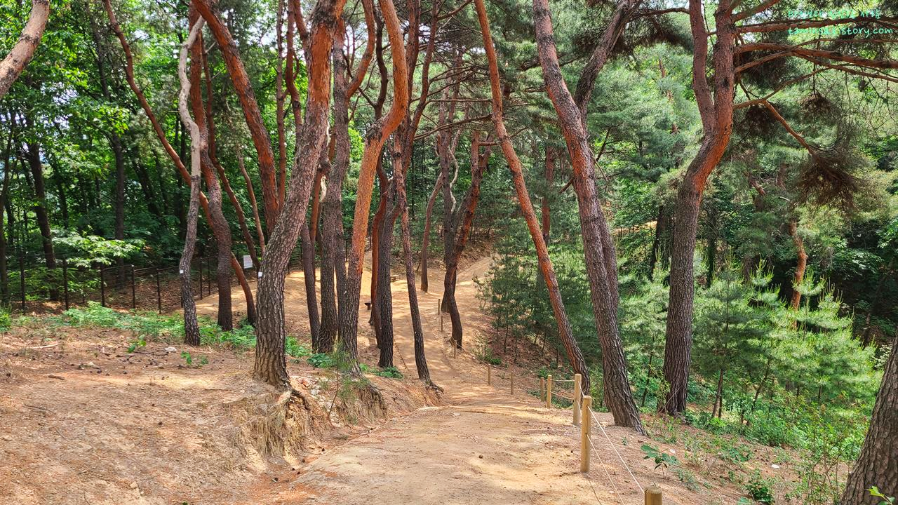 사릉-숲길개방
