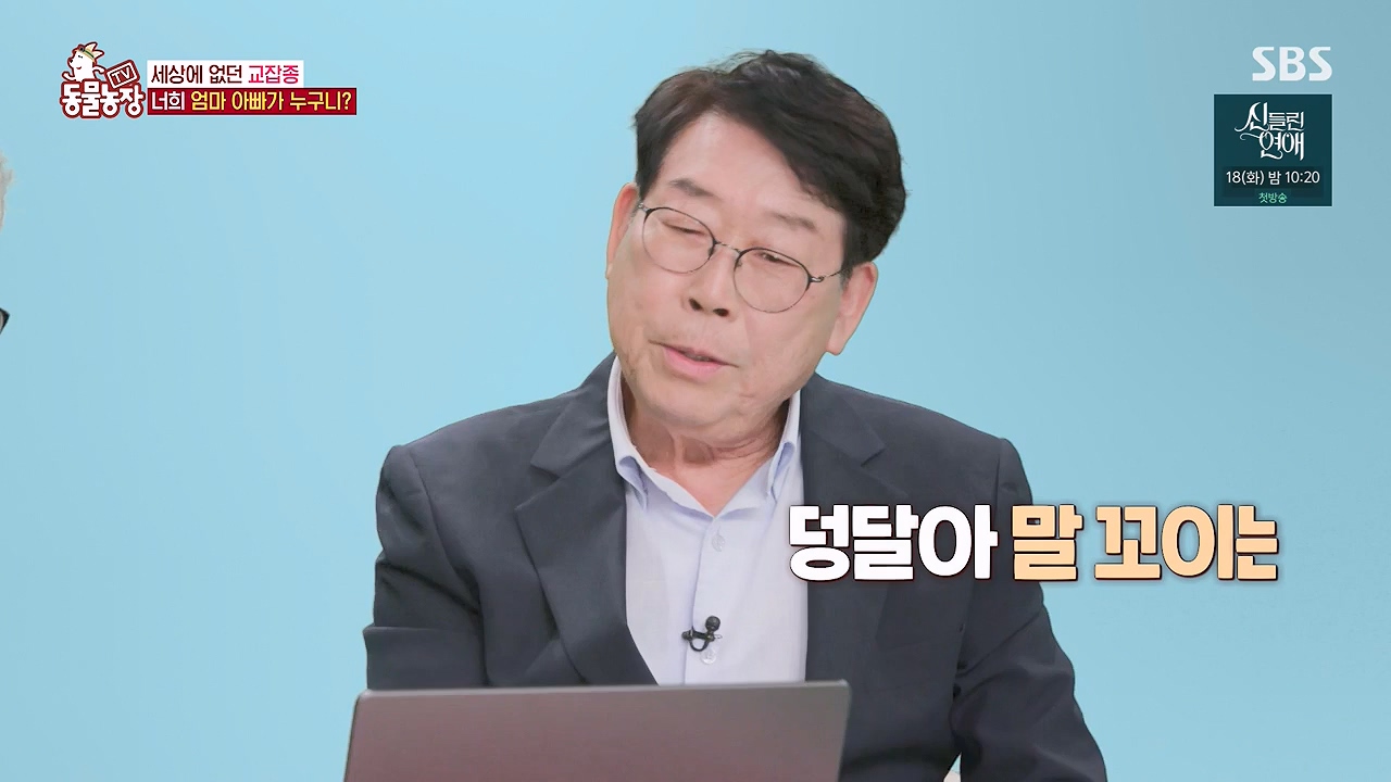 TV 동물농장.E1175.240610p-NEXT.mp4_20240609_160239.682.jpg