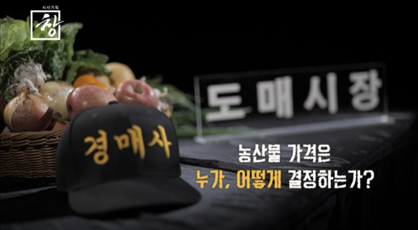  도매시장 법인 경매사 농산물 가격의 비밀 누가 돈을 버니 시사기획 창