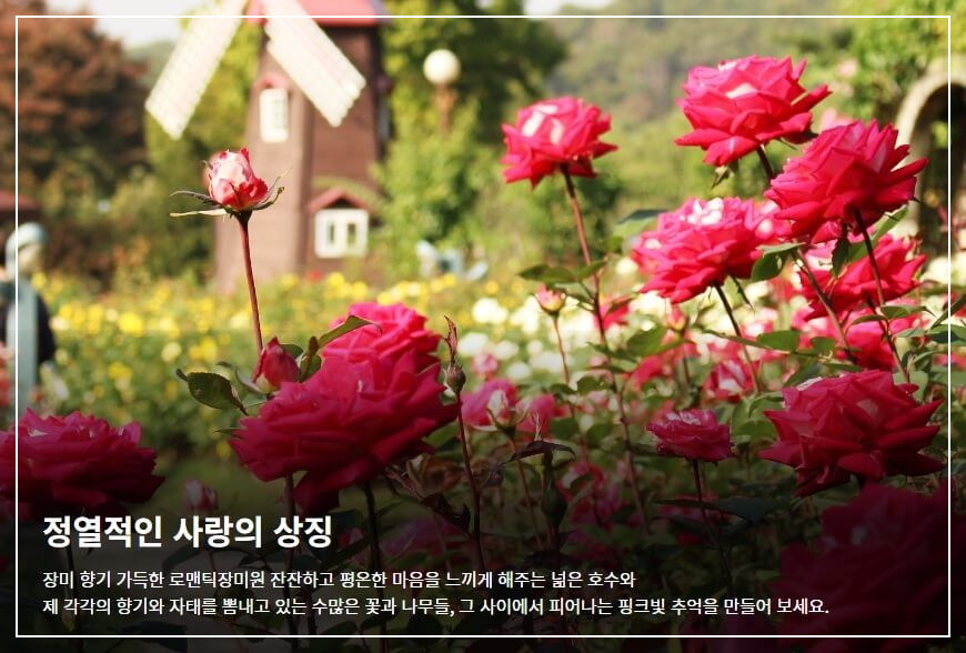 서울대공원 장미원축제