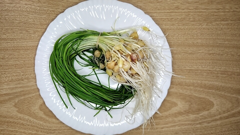 손질전 달래 묶음