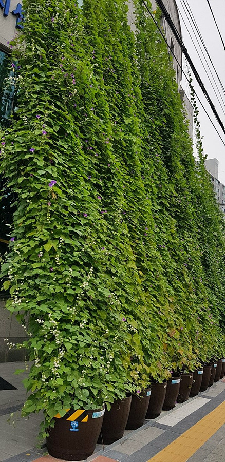 kbs1tv 다큐온 KBS1TV // 회천3동 생태그늘막 18