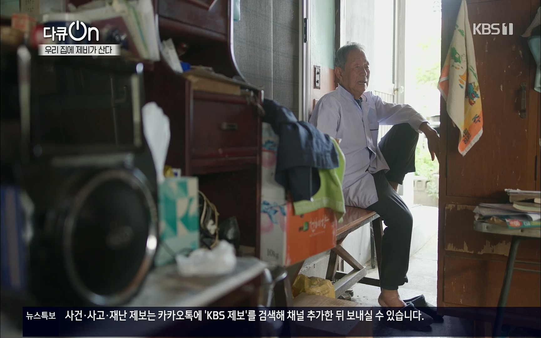 다큐 On.E143.220610p.H264-F1RST.mp4_20220613_202638.385.jpg