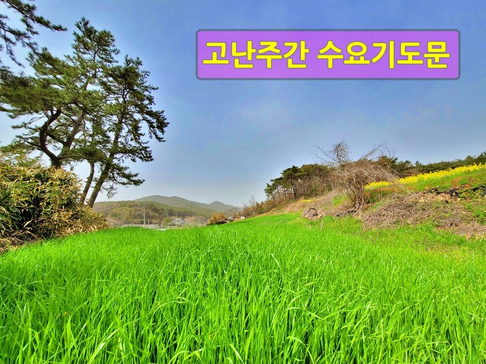  고난주간 수요예배 기도문