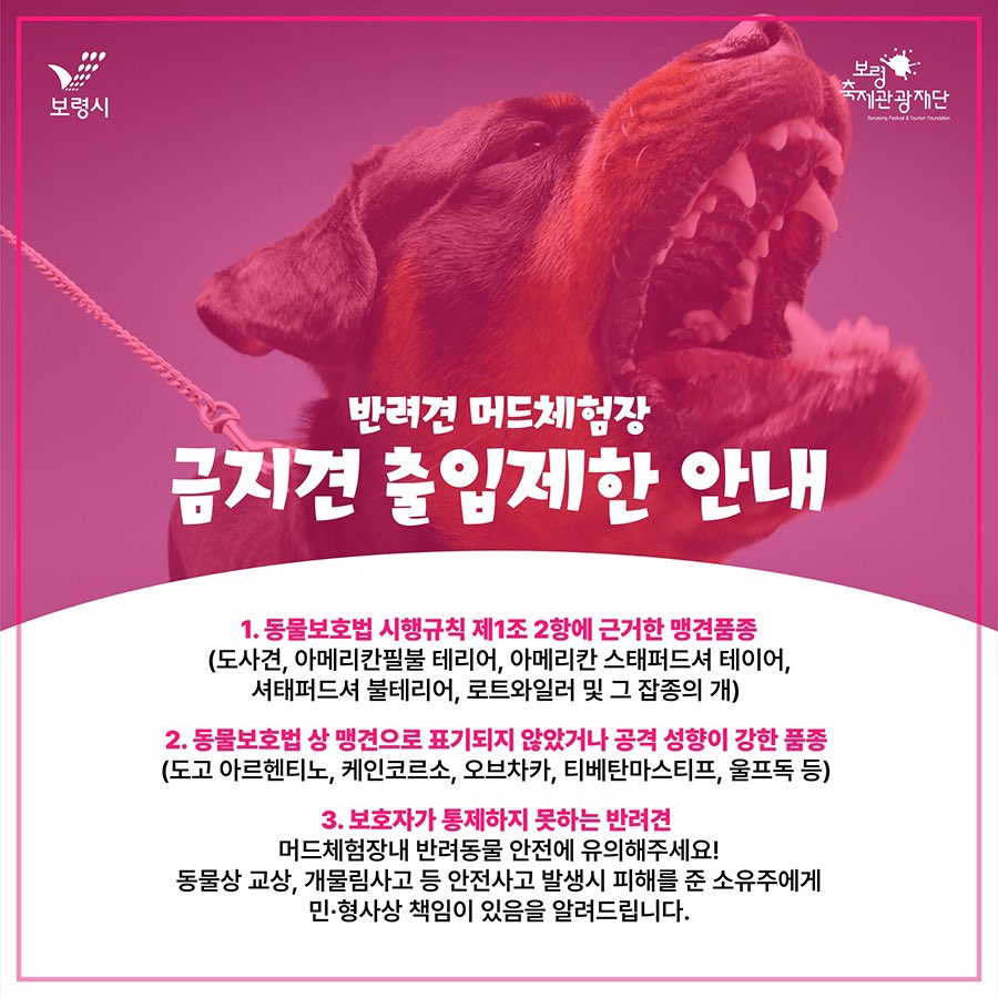 반려견 머드체험장