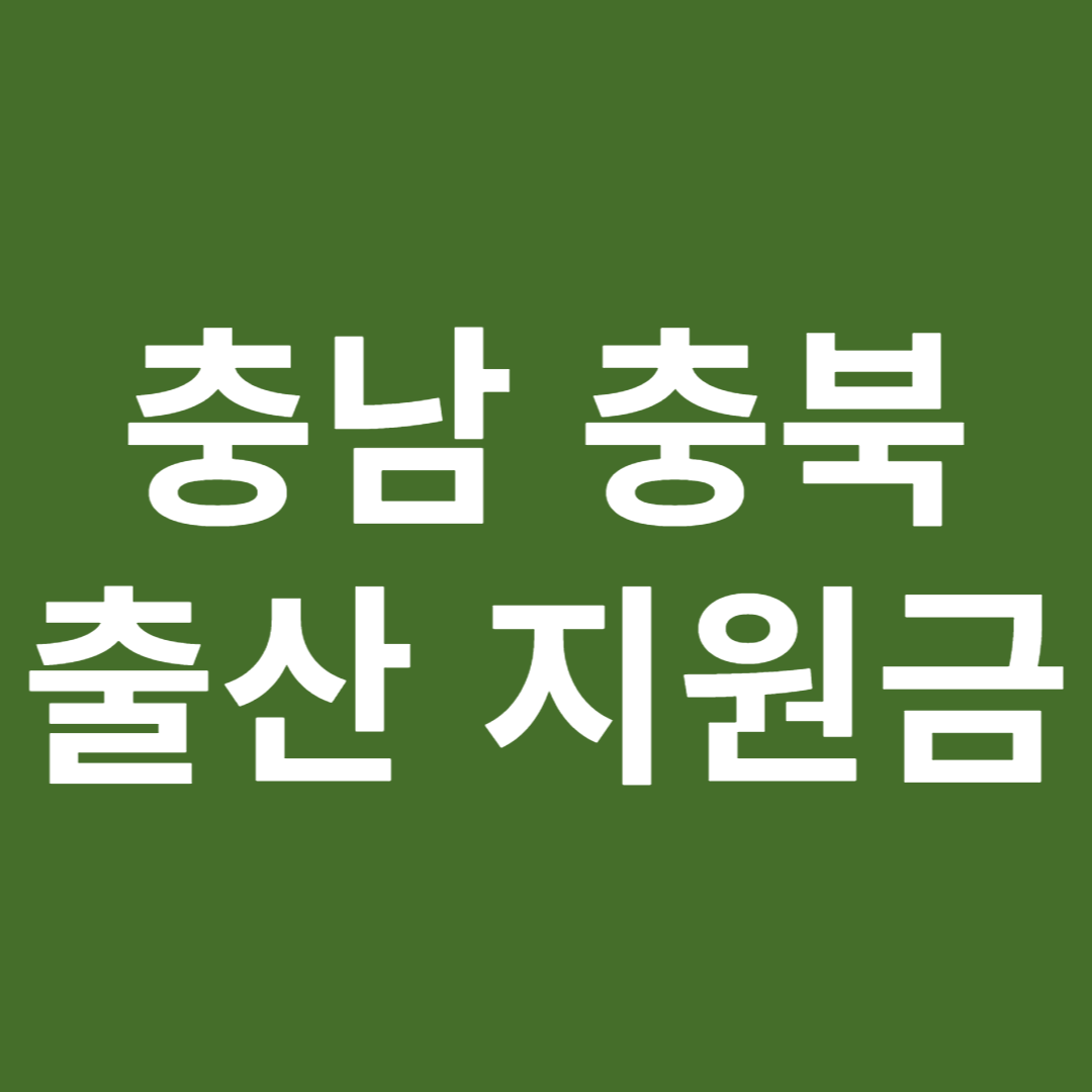 충남 충북 출산지원금