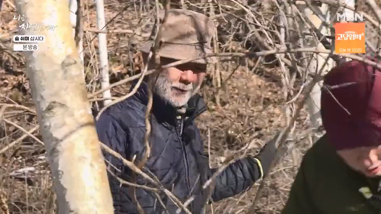 나는 자연인이다.E596.240307p-NEXT.mp4_20240307_195654.137.jpg