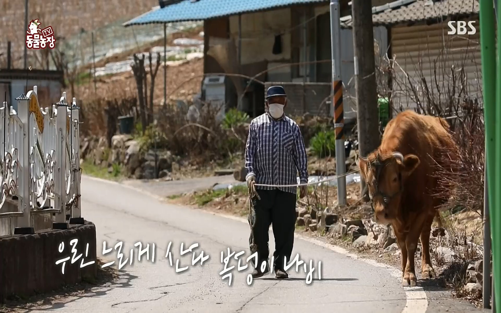 TV 동물농장.E1067.220501p.H264-F1RST.mp4_20220501_184832.908.jpg