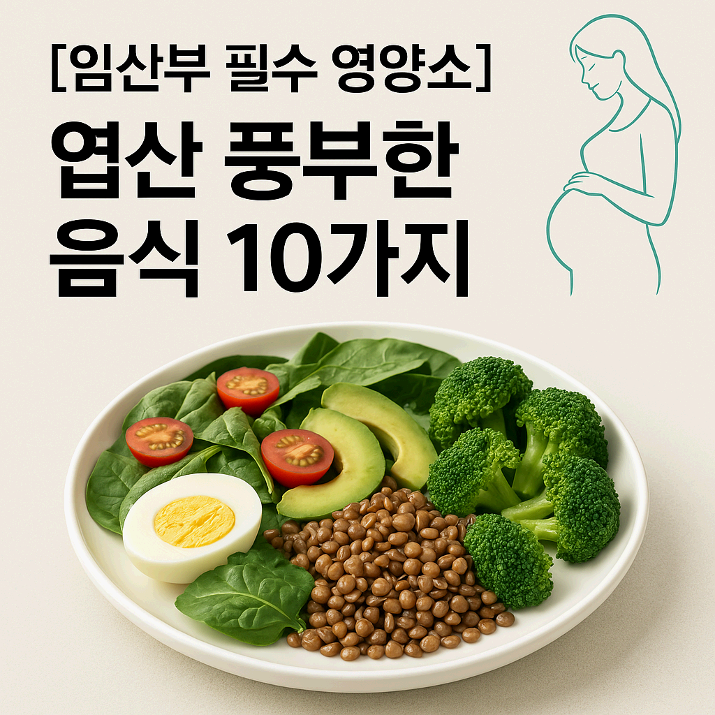 [임산부 필수 영양소] 엽산 풍부한 음식 10가지 – 자연식으로 건강 챙기기