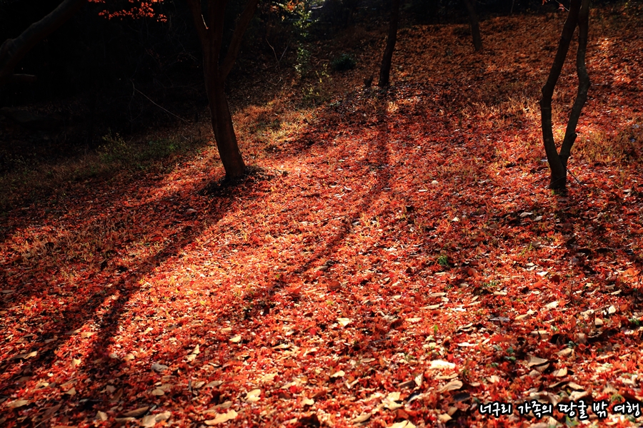 Best 해외여행지 순위 톱 10 해외여행 추천 론리 플래닛이 선택한 2022년 3