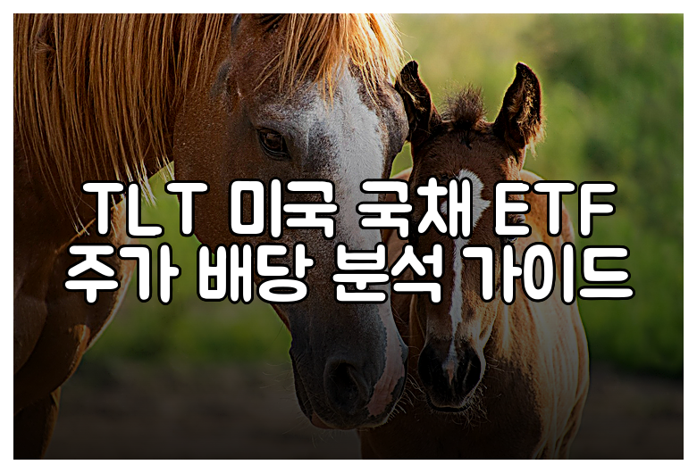 TLT 미국 국채 ETF 주가 배당 분석 가이드