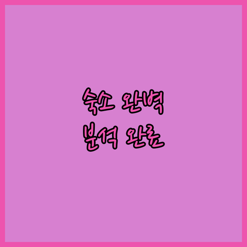 암스테르담 숙소 완벽 분석 더치스 호