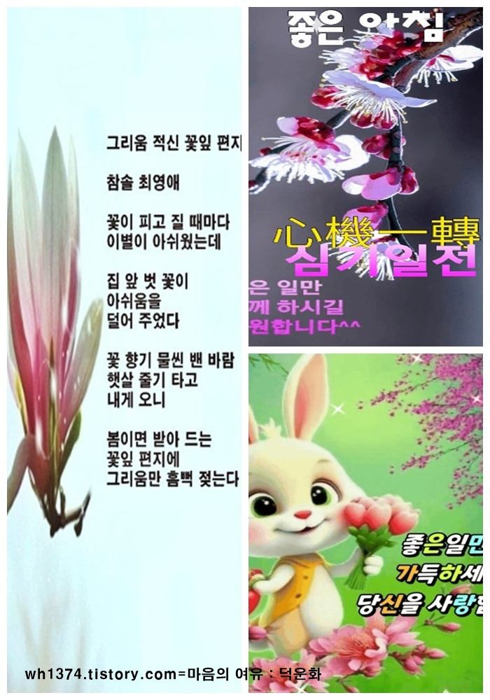 최*영 이미지