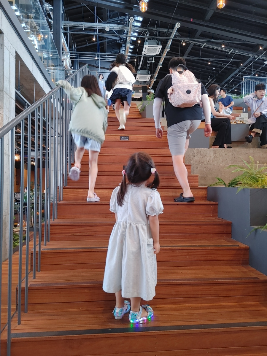 제주당 이미지