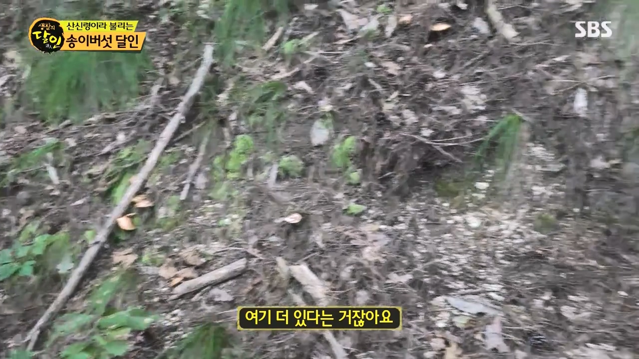 생활의 달인.E907.231010p-NEXT.mp4_20231010_202816.477.jpg