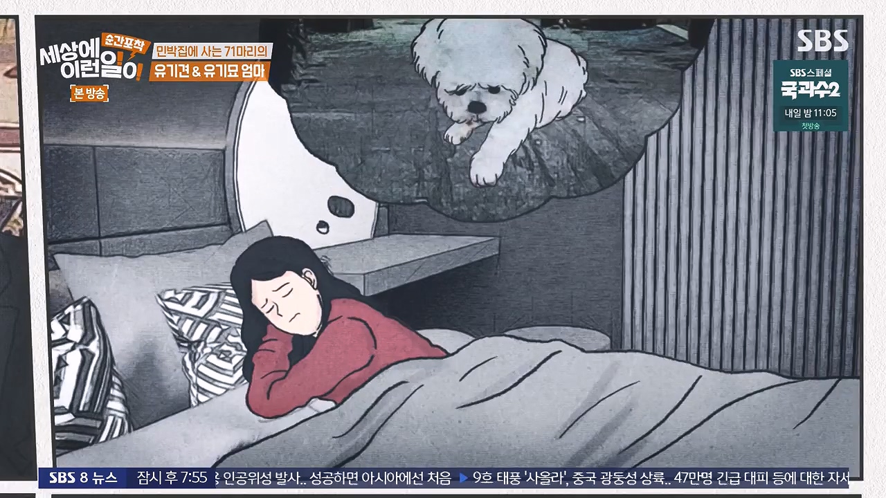순간포착 세상에 이런일이.E1244.230903p-NEXT.mp4_20230903_173253.799.jpg