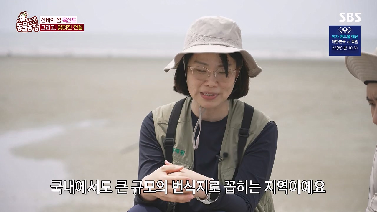 TV 동물농장.E1181.240722p-NEXT.mp4_20240721_165555.327.jpg