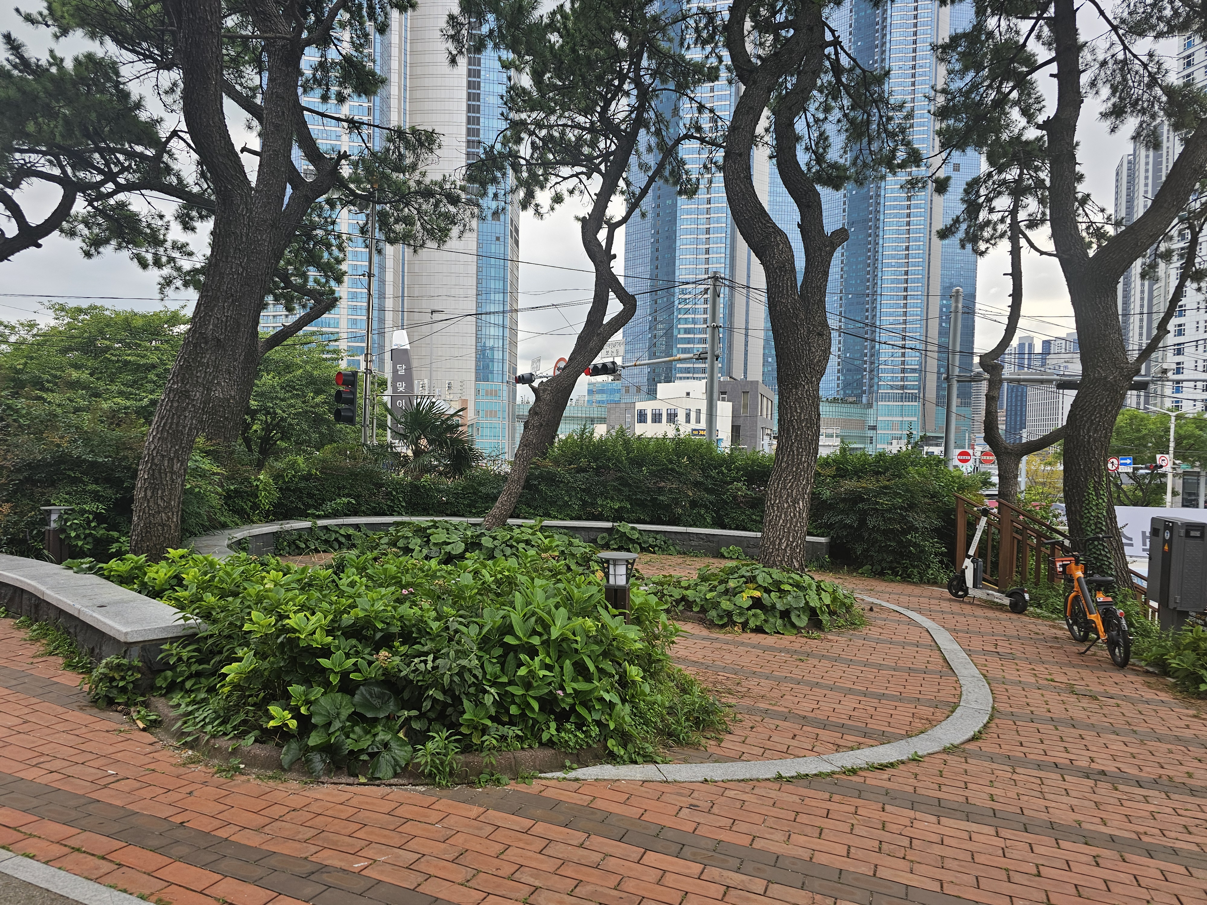바다내음 이미지