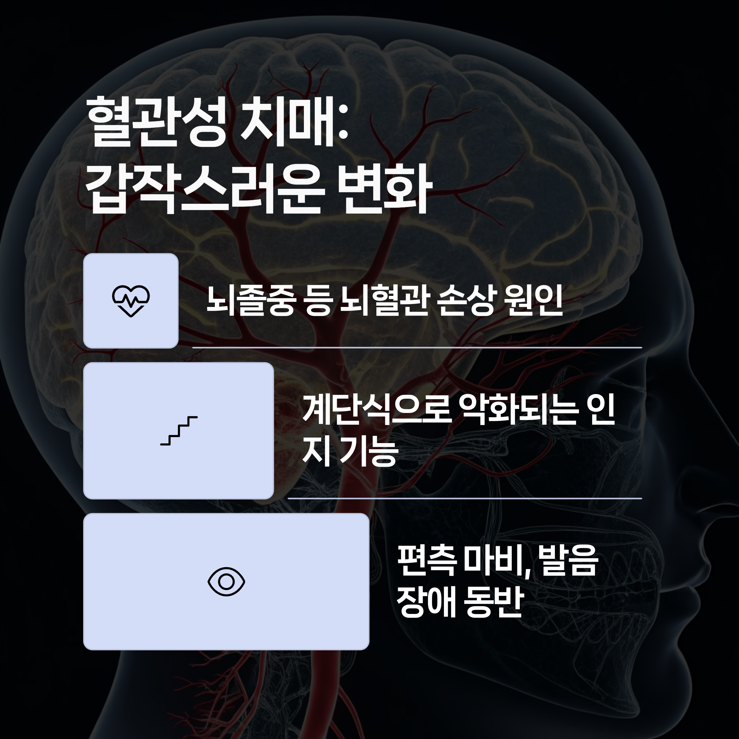 치매차이점