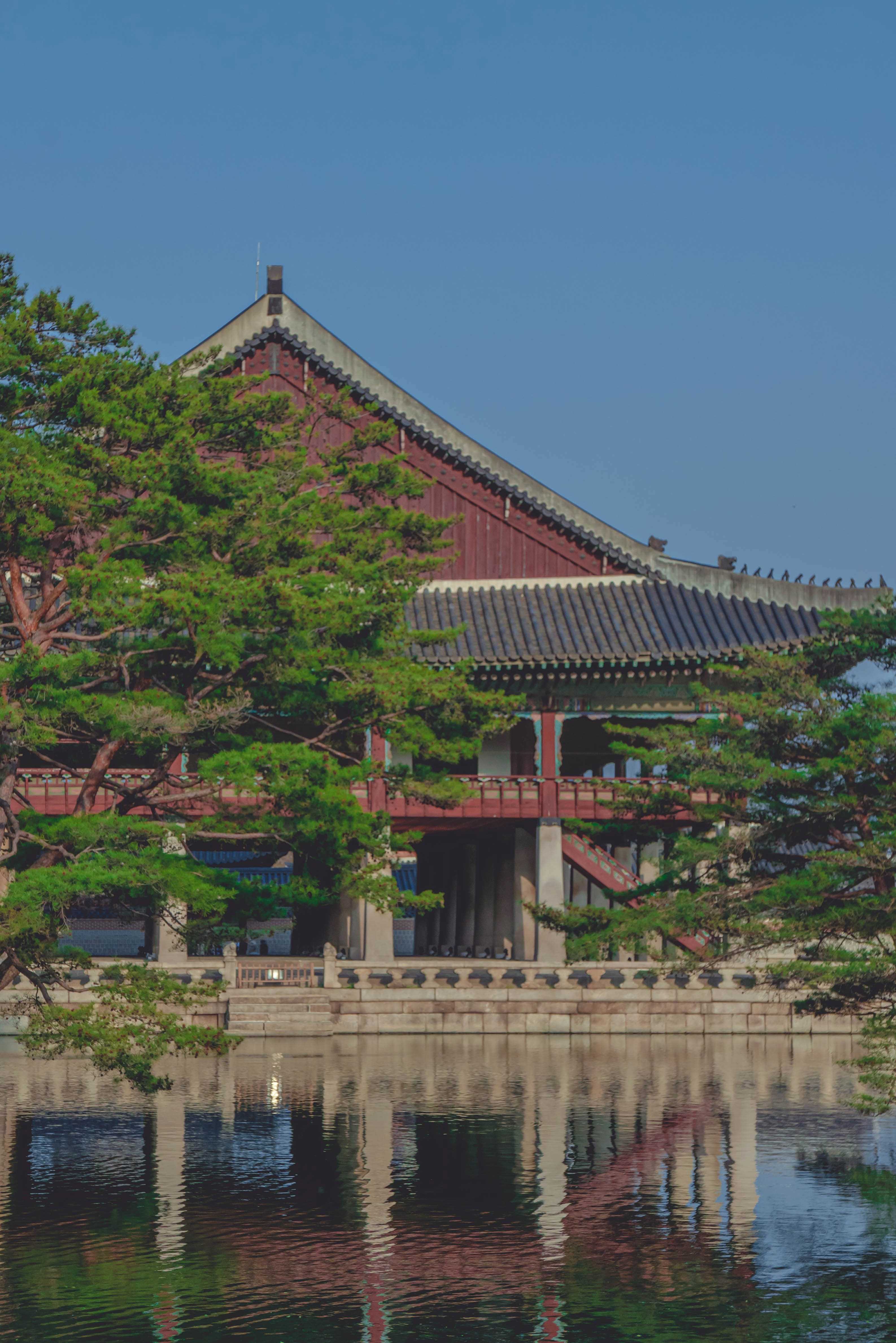 조선의 정치와 외교 사회와 문화