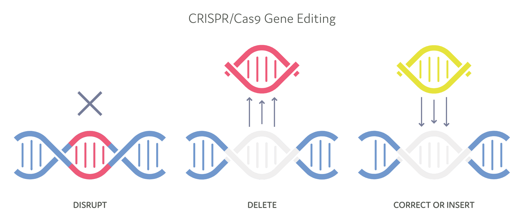 CRSP - CRISPR Therapeutics (크리스퍼 테라퓨틱스) : 네이버 블로그