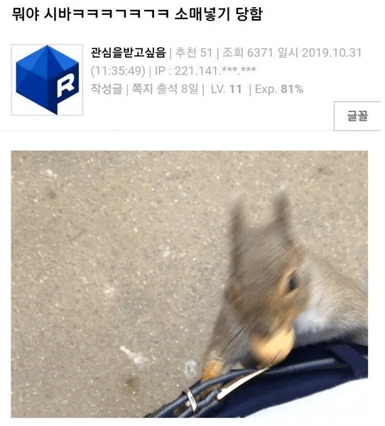  다람쥐에게 소매넣기 당함