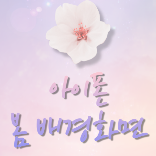  아이폰 봄 배경화면 예쁜