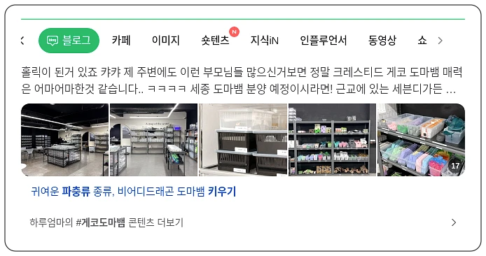 파충류 키우기_1_subsection
