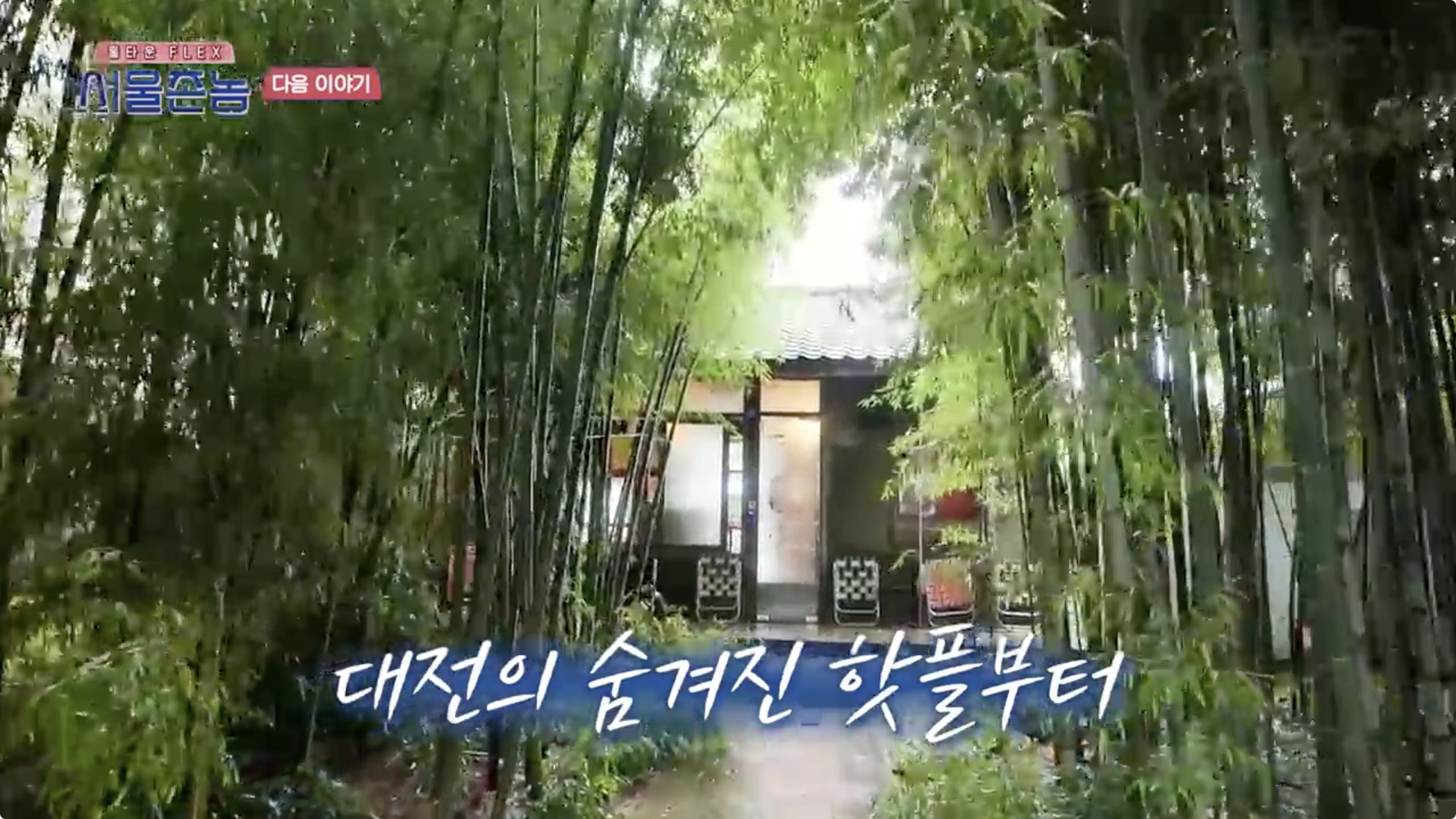  서울촌놈 대전 대나무 숲 힐링 카페 소제동 풍뉴가
