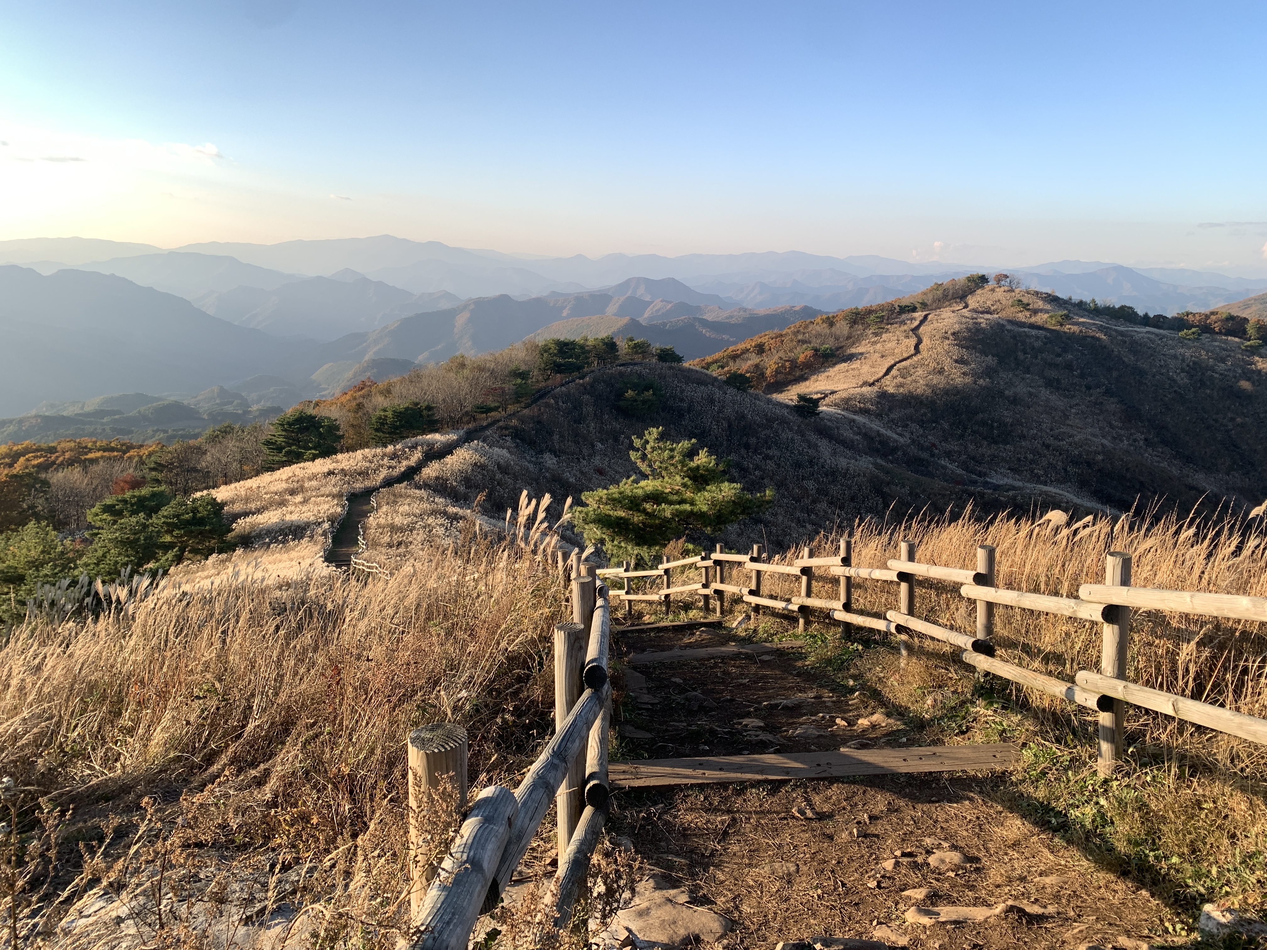 민둥산 억새축제